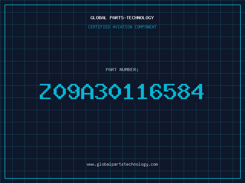 Aviation Part Z09A30116584